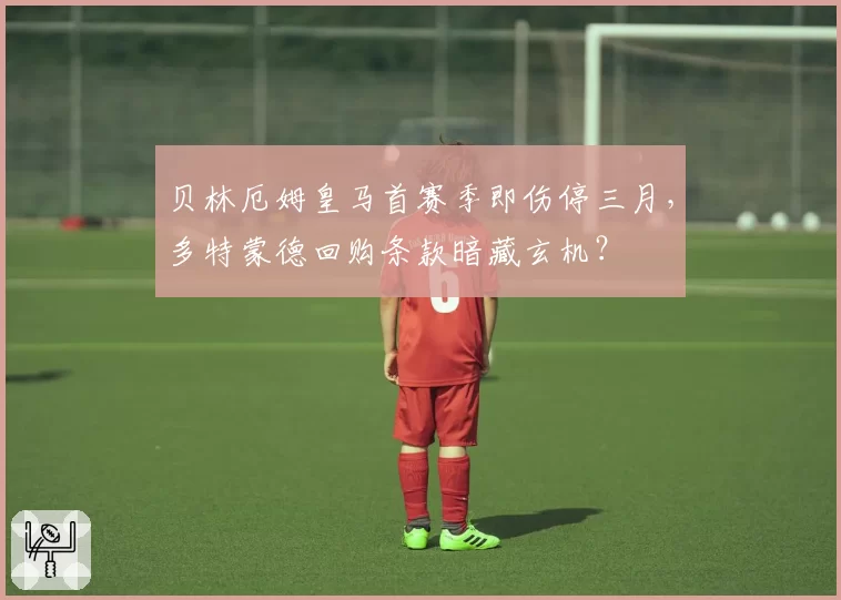 贝林厄姆皇马首赛季即伤停三月，多特蒙德回购条款暗藏玄机？