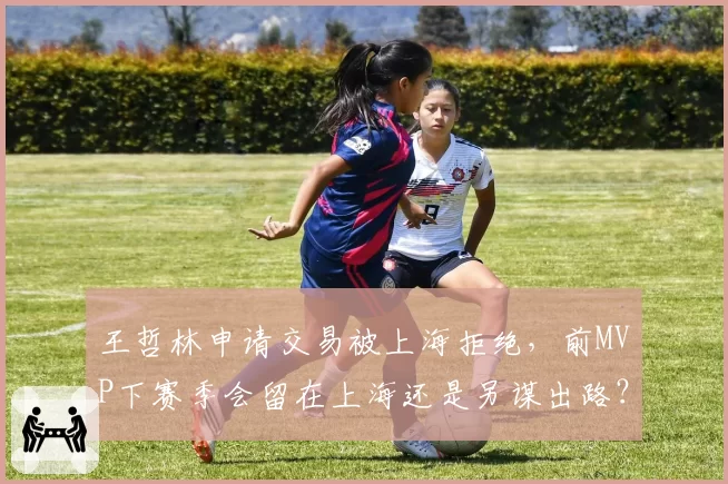 王哲林申请交易被上海拒绝，前MVP下赛季会留在上海还是另谋出路？