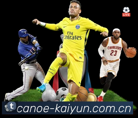 开云APP 体育赛事宣传图